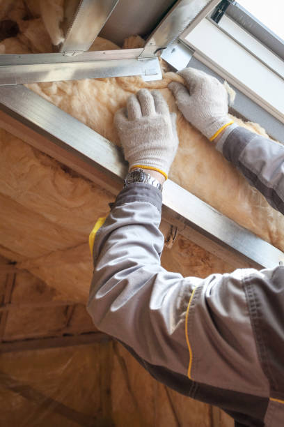 Best Eco-Friendly Insulation in Washburn, ND