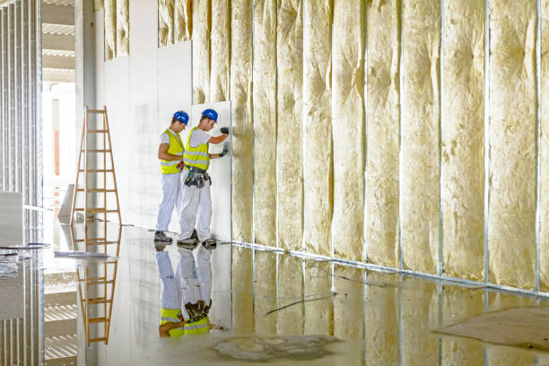 Best Specialized Insulation Services in Washburn, ND